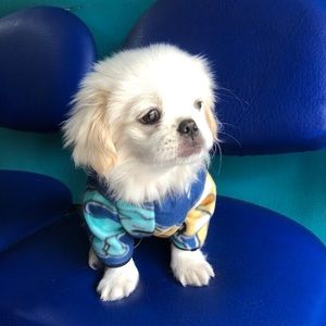 Meet your Posher, Stephany